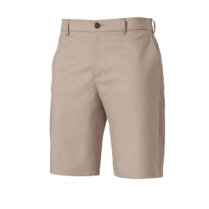 Beige Men Mizuno Mt Elites Shorts | 5042-ZYGKV