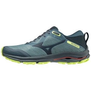 Blue Men Mizuno Wave Rider Gtx Running Shoes | 3142-ZGXJN