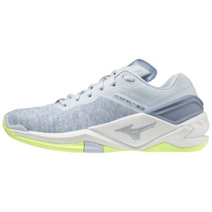 Grey Women Mizuno Wave Stealth Neo Handball Shoes | 0952-GKHMN