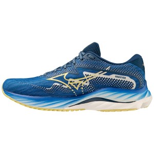 Navy Women Mizuno Wave Rider 27 Amsterdam Running Shoes | 6198-VICBZ