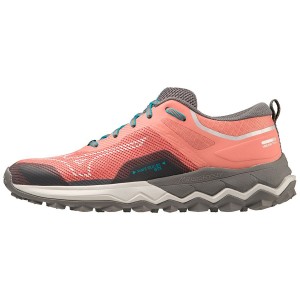 Pink Women Mizuno Wave Ibuki 4 Gtx Running Shoes | 2583-HBVLI