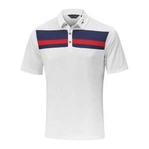 White Men Mizuno Quick Dry Citizen Polo Shirts | 8610-UNHRI