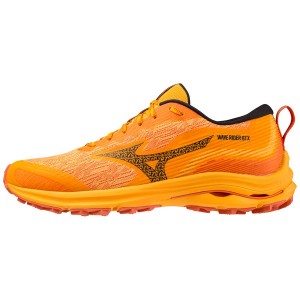 Yellow Men Mizuno Wave Rider Gtx Running Shoes | 8146-VCQIA