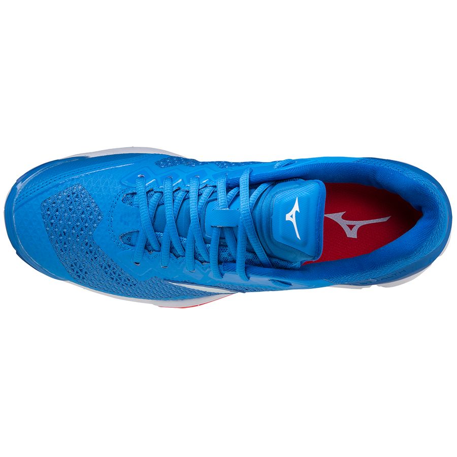 Blue Men Mizuno Wave Stealth V Handball Shoes | 1754-RFEHI