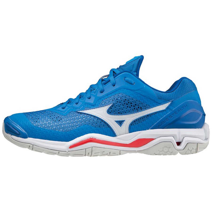 Blue Men Mizuno Wave Stealth V Handball Shoes | 1754-RFEHI