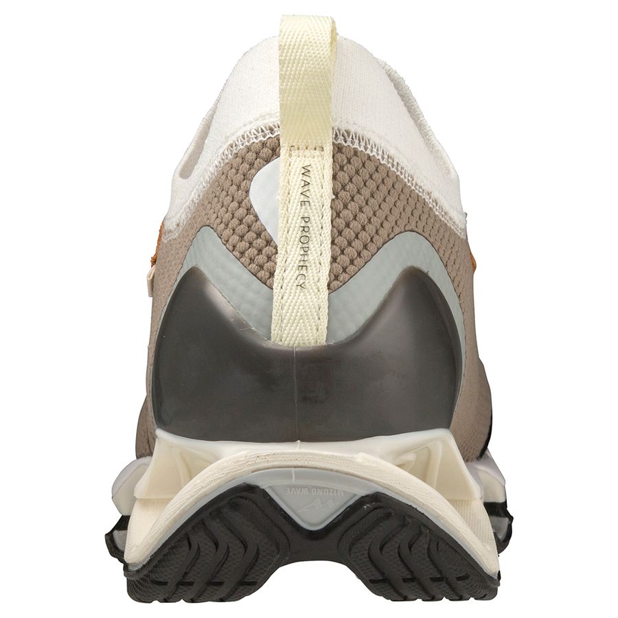 Brown Men Mizuno Wave Prophecy Sneakers | 8256-ZVTBC