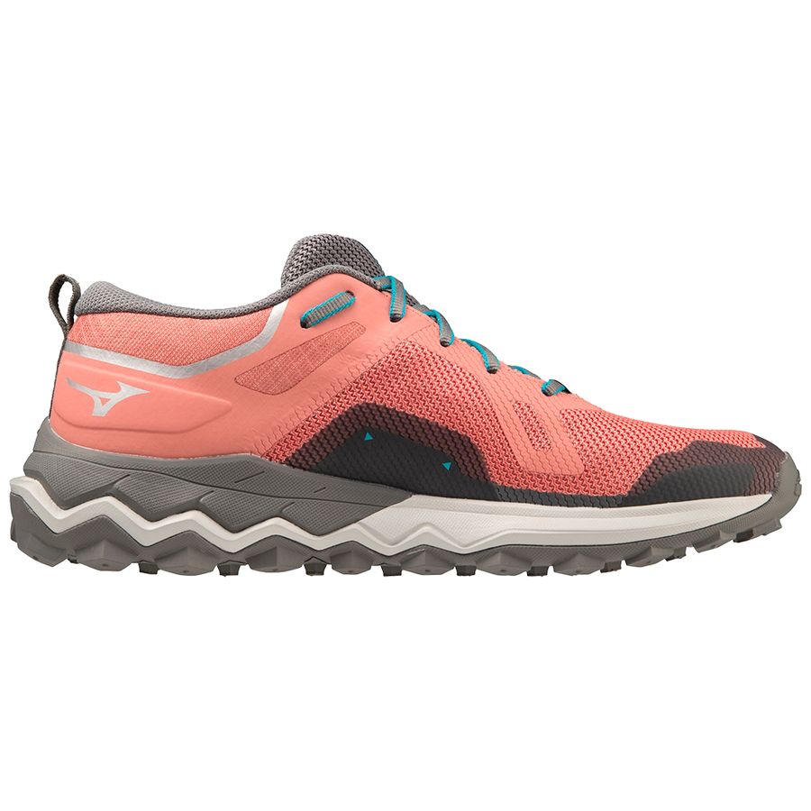 Pink Women Mizuno Wave Ibuki 4 Gtx Running Shoes | 2583-HBVLI