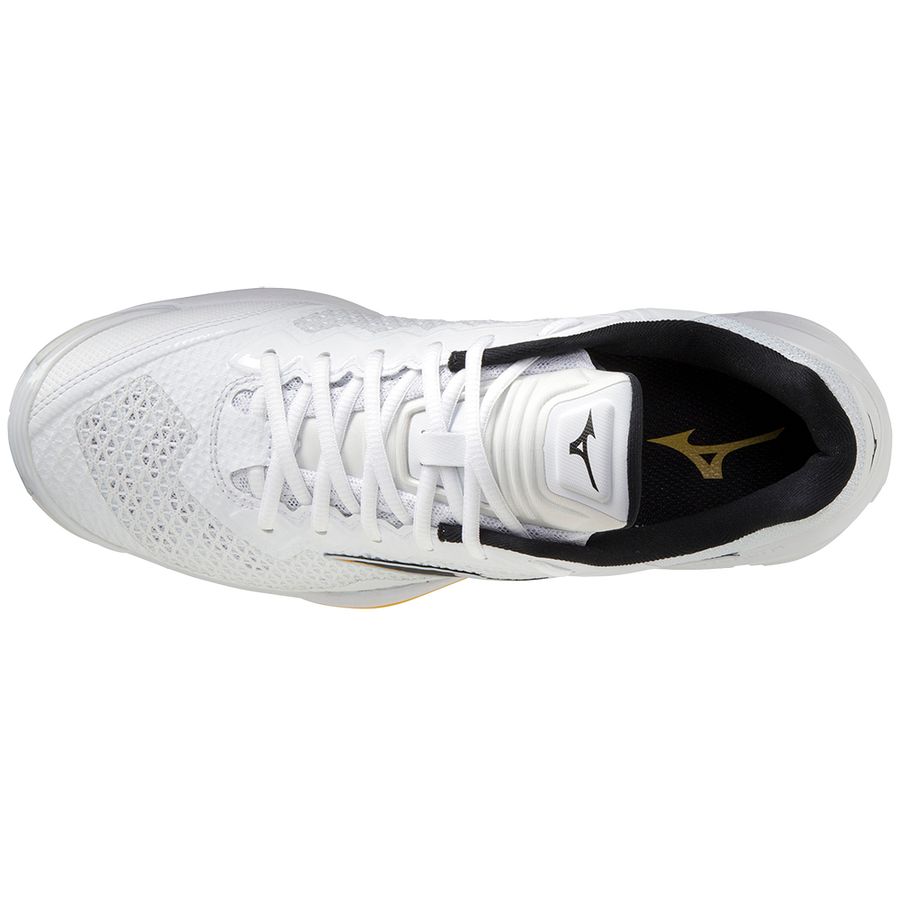 White Men Mizuno Wave Stealth V Handball Shoes | 6390-LMTYP